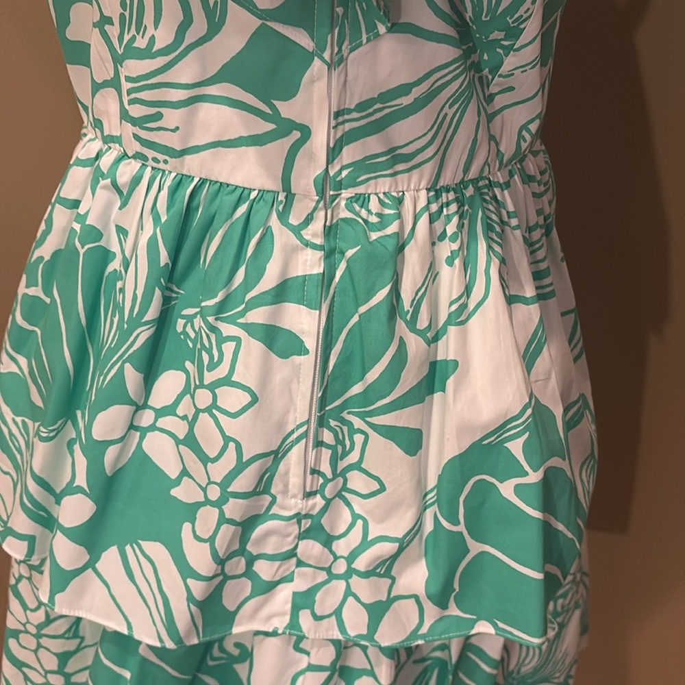 Lilly‎ Pulitzer Rita Marie V-neck Ruffle Spearmint Floral Dress - Picture 8 of 10